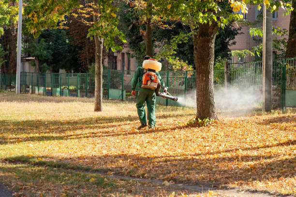 Bolivar, MO Pest Control Company